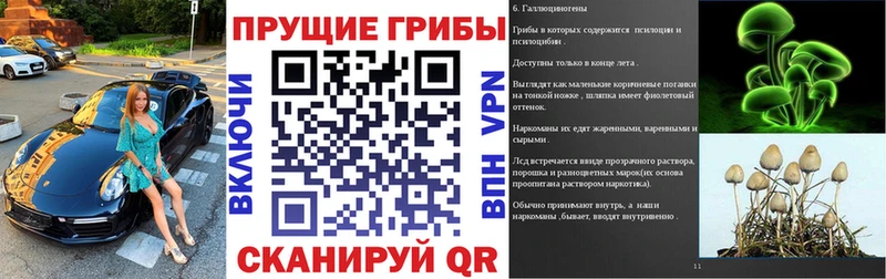 купить  цена  Бирск  Псилоцибиновые грибы Psilocybine cubensis 