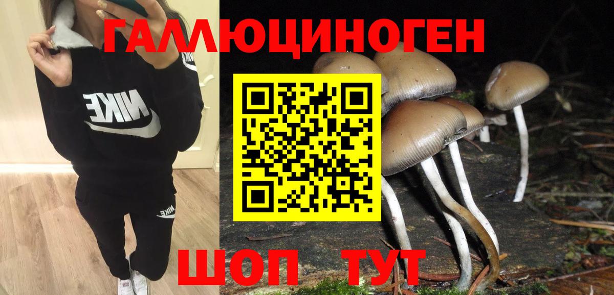 Бирск  Псилоцибиновые грибы ЛСД  Галлюциногенные грибы GOLDEN TEACHER  Вход с VPN 